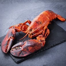 아라보감 산지직송 어제 찐 자숙 랍스타 (냉장), 950g, 1세트