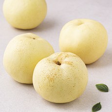 좋은하루 산지직송 익산 그린시스 초록배 4~5입, 1.8kg, 1개