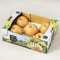 해맑은들녘 당도선별 안성 신고배 4~6입, 1개, 3kg