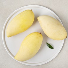 과일엔 태국산 골드 망고 3입, 1kg, 1팩