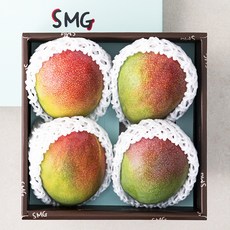 좋은하루 후숙해서 드리는 애플망고 4입, 1.6kg, 1박스