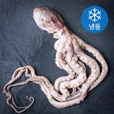 어부네생선가게 기절낙지 (냉동), 1개, 400g