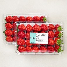 좋은하루 산지직송 담양 금실 딸기, 2팩, 500g