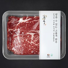 전통참한우 1등급 등심 구이용 (냉장), 300g, 1개