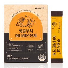 비타민마을 허니레몬진저 핫 콤부차, 4g, 30개입, 1개