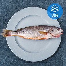양포어장 국내산 손질 반건조 수조기 (냉동), 200g, 1개