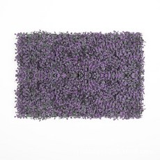 Closer than Salz to Nature 米蘭微型植物 40 x 60 cm, 紫綠, 1個