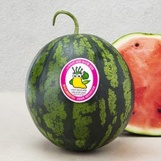 농협 스테비아 농법 수박, 5kg 미만, 1개