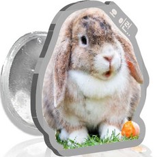 리지아니 리얼 애니멀 아크릴 휴대폰 핑거 톡, 시무룩 바니, 1개