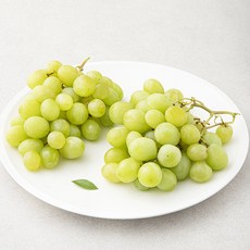 다조은 호주산 씨없는 청포도, 1.2kg, 1팩