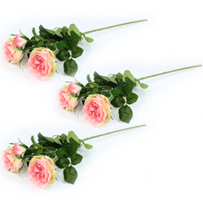 다우에프앤지 조화 오스틴 장미 3p