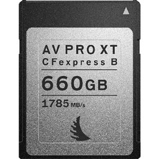 엔젤버드 AV PRO CFexpress XT MK2 Type B CF카드, 660GB