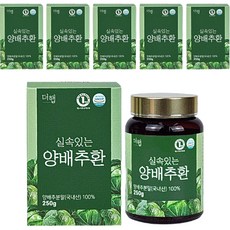 더햅 실속있는 양배추환, 50g, 6개