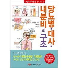 당뇨병기본정보  당뇨병·대사·내분비의 구조 성안당 오다와라 마사토 