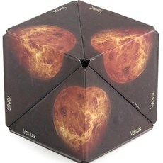 애니멀포스 TOP01