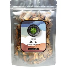 동이약초 국내산 유근피 왕느릅나무껍질, 250g, 1개