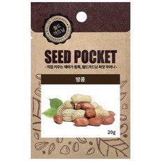 월드가드닝 정원 텃밭 좋은 씨앗 뿌리채소 땅콩씨 20g, 1개