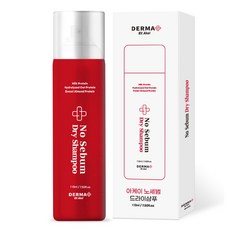 아케이 더마 노세범 드라이샴푸 휴대용 우디머스크향, 110ml, 1개