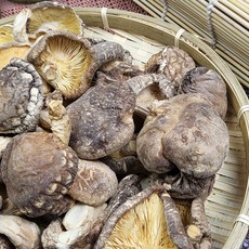 풍요 국내산 건표고버섯, 80g, 1개