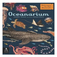 Oceanarium : Welcome to the Museum, Big Picture Press - oceanicgeo2