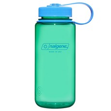 날진 서스테인 와이드 마우스 보틀, 파스텔그린, 500ml, 1개