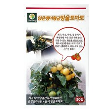 다농 앉은뱅이 황금 방울토마토 씨앗 50립, 혼합색상, 1개