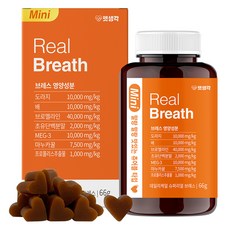 펫생각 강아지 데일리케얼 영양제, 호흡기/기관지, 66g, 1개