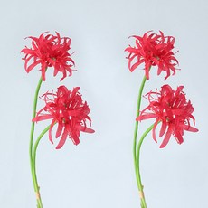 조화 홈플로우 호텔 홈 인테이어 장식품 상사화 스틱, 레드, 2개