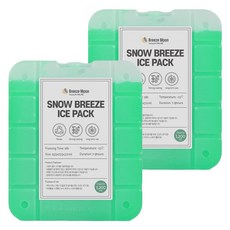 브리즈문 스노우 브리즈 빙점하 아이스팩 영하 13도 2p, 그린, 1200ml