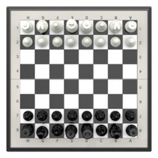 B2win受難日高級有趣的西洋棋組, 款式01, 1個