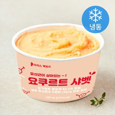 지엔씨푸드 요쿠르트 샤벳 (냉동), 240ml, 1개입, 1개