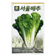 다농 서울 배추 씨앗 20g, 1개