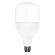 LED DO工廠保全燈T燈管長頸50W, 晝光色, 1個