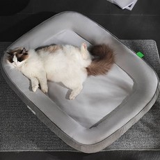 딩동펫 반려동물 딥슬립 타원형 방석 쿠션, 그레이, 1개 그레이, 1개