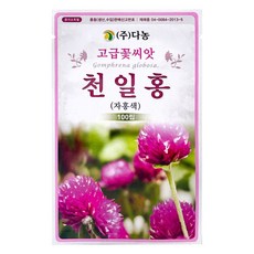 다농 천일홍 자홍색 씨앗 100립, 1개 1개