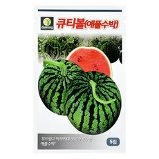 다농 큐티볼 애플수박 씨앗 5립, 1개 1개