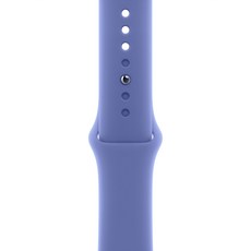Apple 정품 애플워치 스포츠 밴드 M/L, 페리윙클, 1개, 46mm