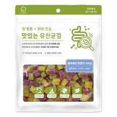 굿데이 강아지 맛있는 유산균껌, 블루베리 혼합맛, 300g, 1개