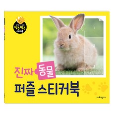 진짜 동물 퍼즐 스티커북, 가치교육연구소(저), 가치잇다