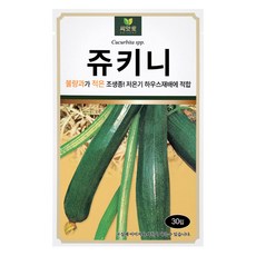 다농 씨앗애 쥬키니 씨앗 30p, 1개 1개