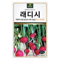 다농 씨앗애 래디시 씨앗 1000p, 1개