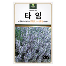 다농 씨앗애 타임 씨앗 500p, 1개