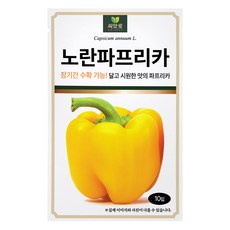 다농 씨앗애 노란파프리카 씨앗 10p, 1개