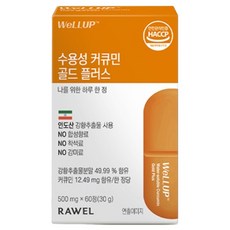 로엘 웰업 수용성 커큐민 골드 플러스 60p, 30g, 1개 30g, 1개