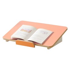 퍼닉에스엠 아임 모듈 책상용 독서대, 캐럿