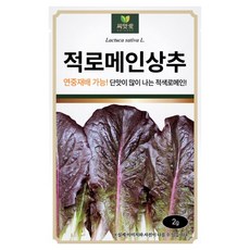 다농 씨앗애 적로메인상추 씨앗 2g, 1개