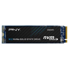 PNY 必恩威 M.2 NVME SSD+NVME散熱片組, CS2241, 1TB