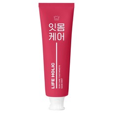 라이프홀릭 잇몸케어 치약 세이지민트향, 100g, 1개
