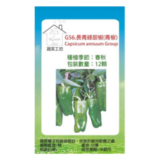 蔬菜工坊 長青綠甜椒種子 G56, 12個