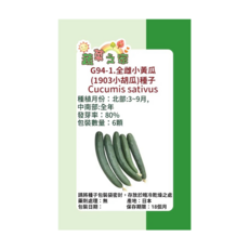 蔬菜工坊 全雌小黃瓜/1903小胡瓜種子 G94-1 6顆, 1個